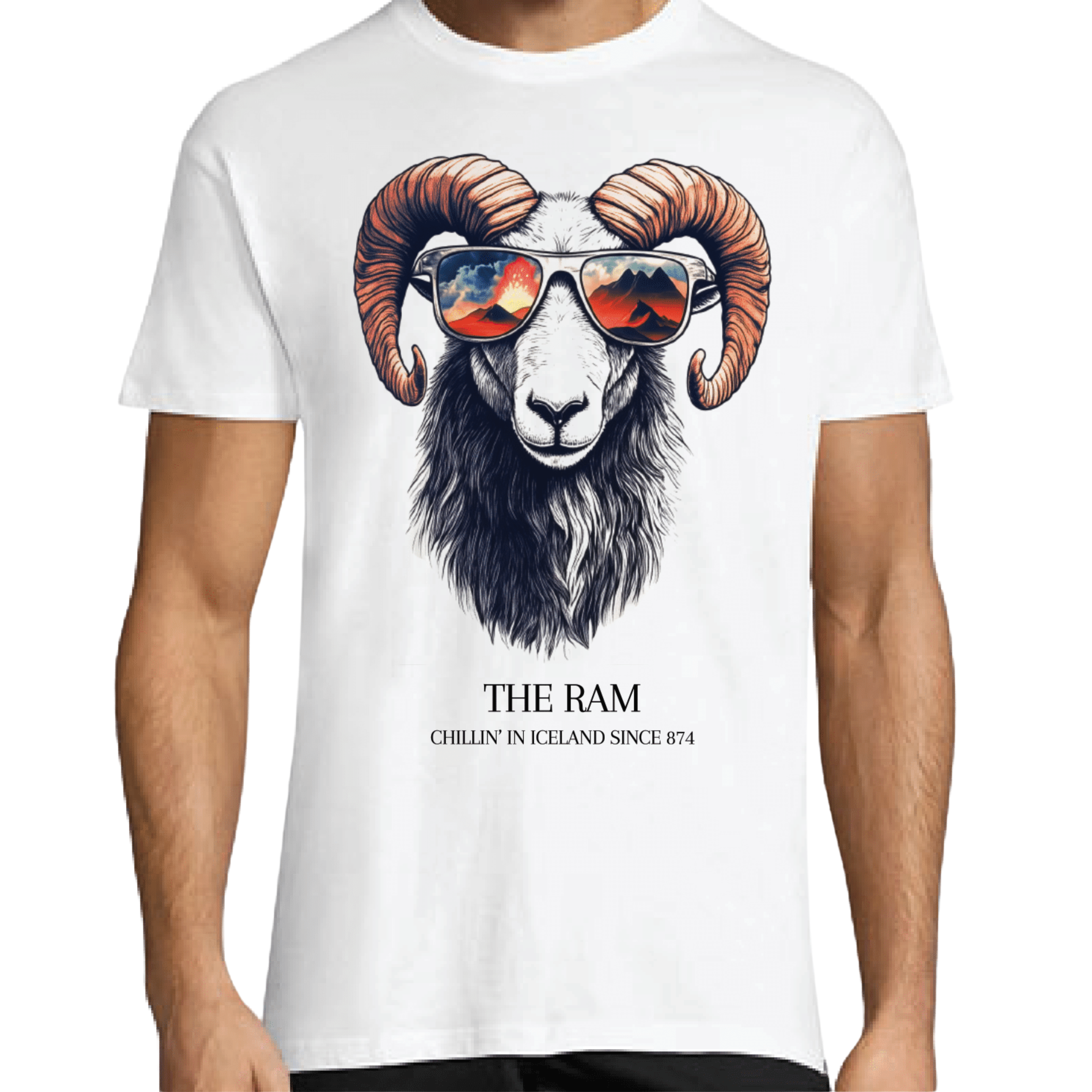 T-Shirt Iceland - Remember Reykjavík