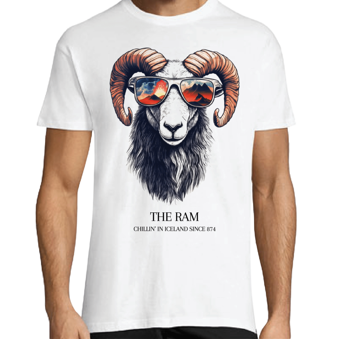 T-Shirt Iceland - Remember Reykjavík