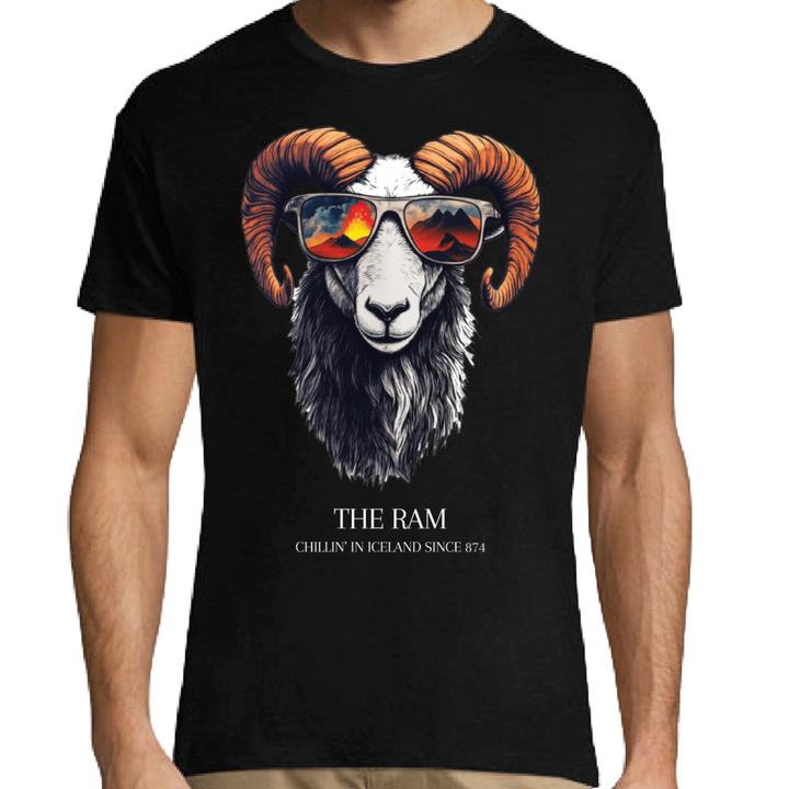 T-Shirt Iceland - Remember Reykjavík