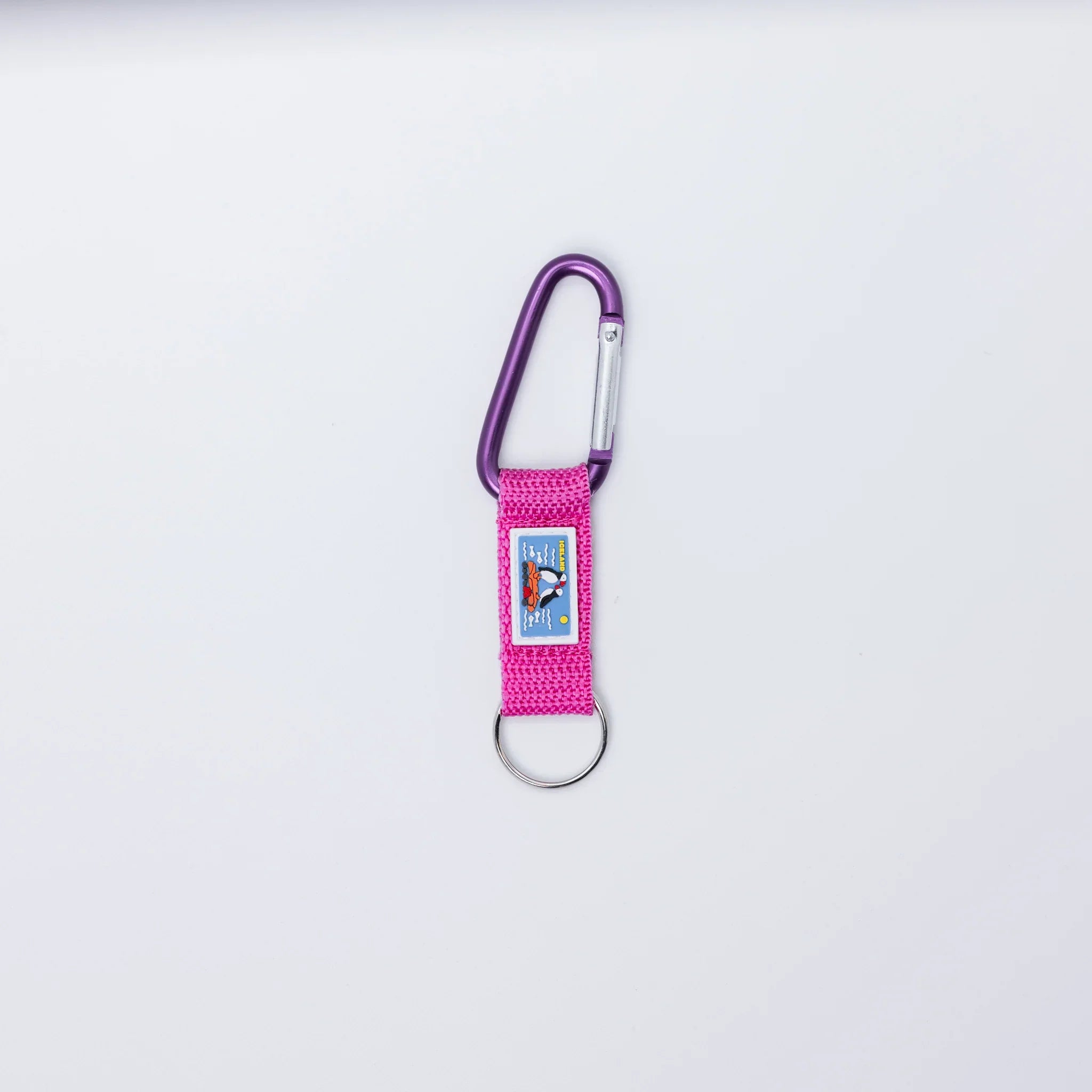 Keychain Carabiner - Minjagripir.is