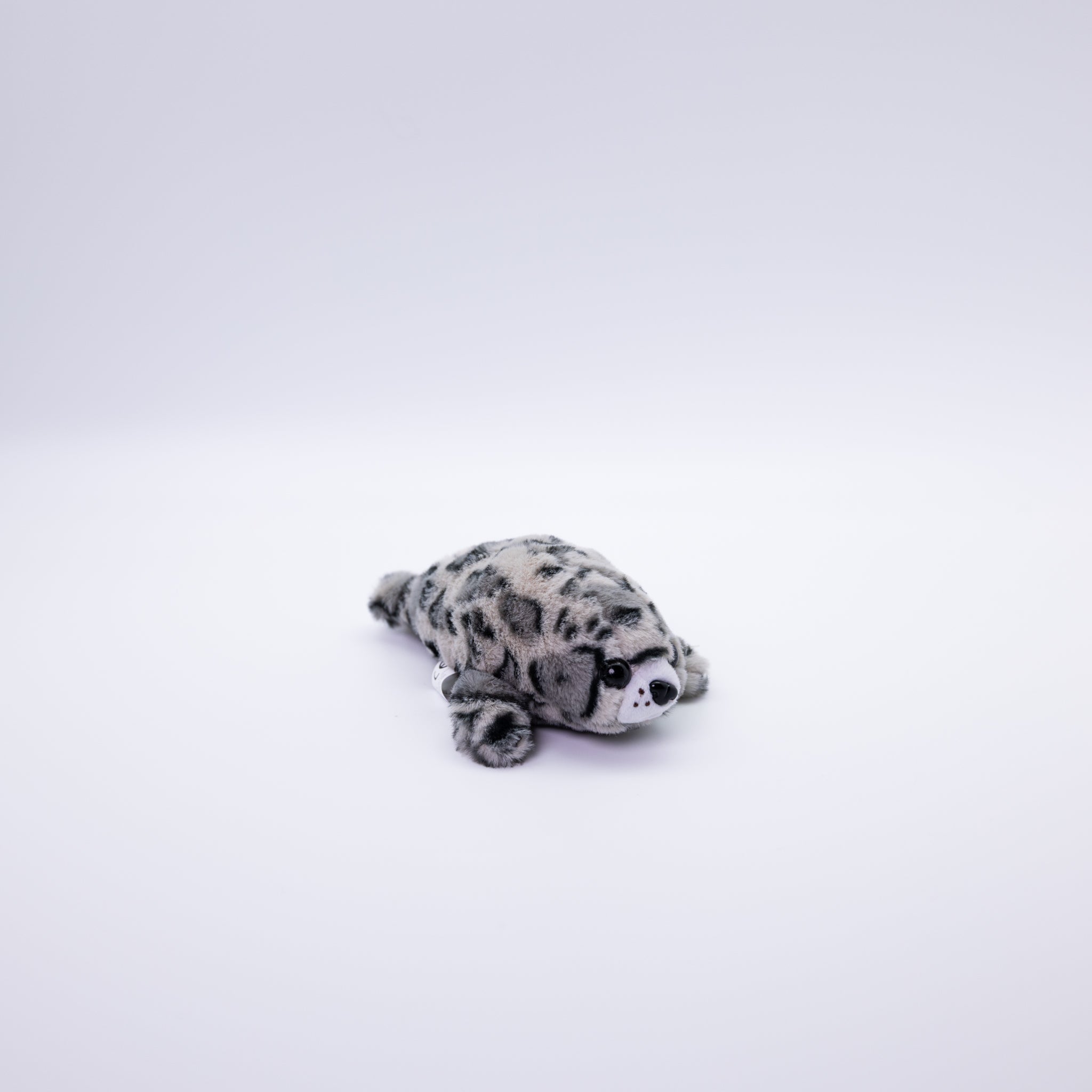 Seal Grey Or White 20 cm - A Memory From Iceland