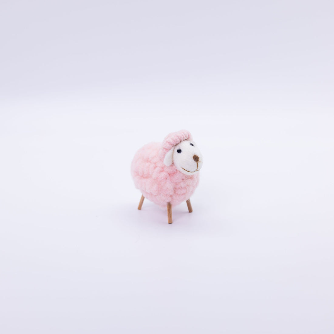 Cute Colorful Sheep