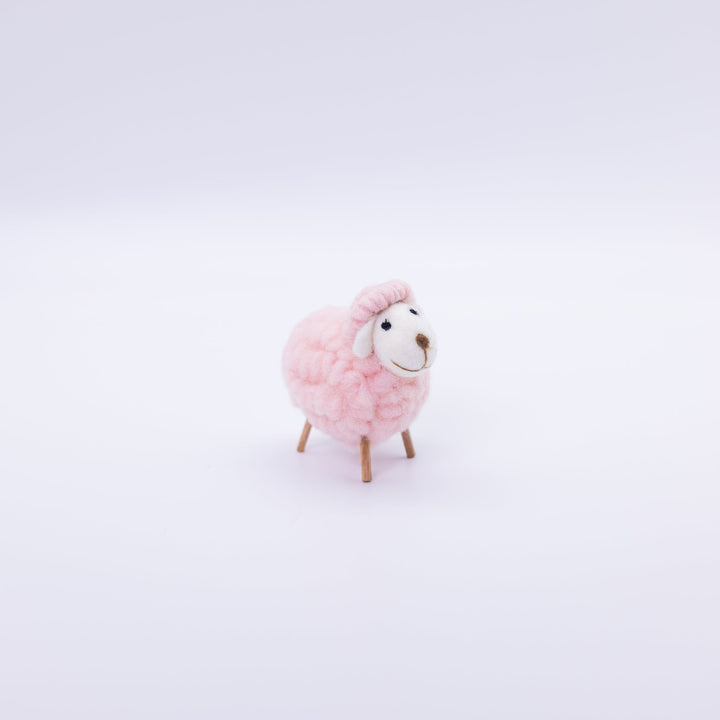 Cute Colorful Sheep
