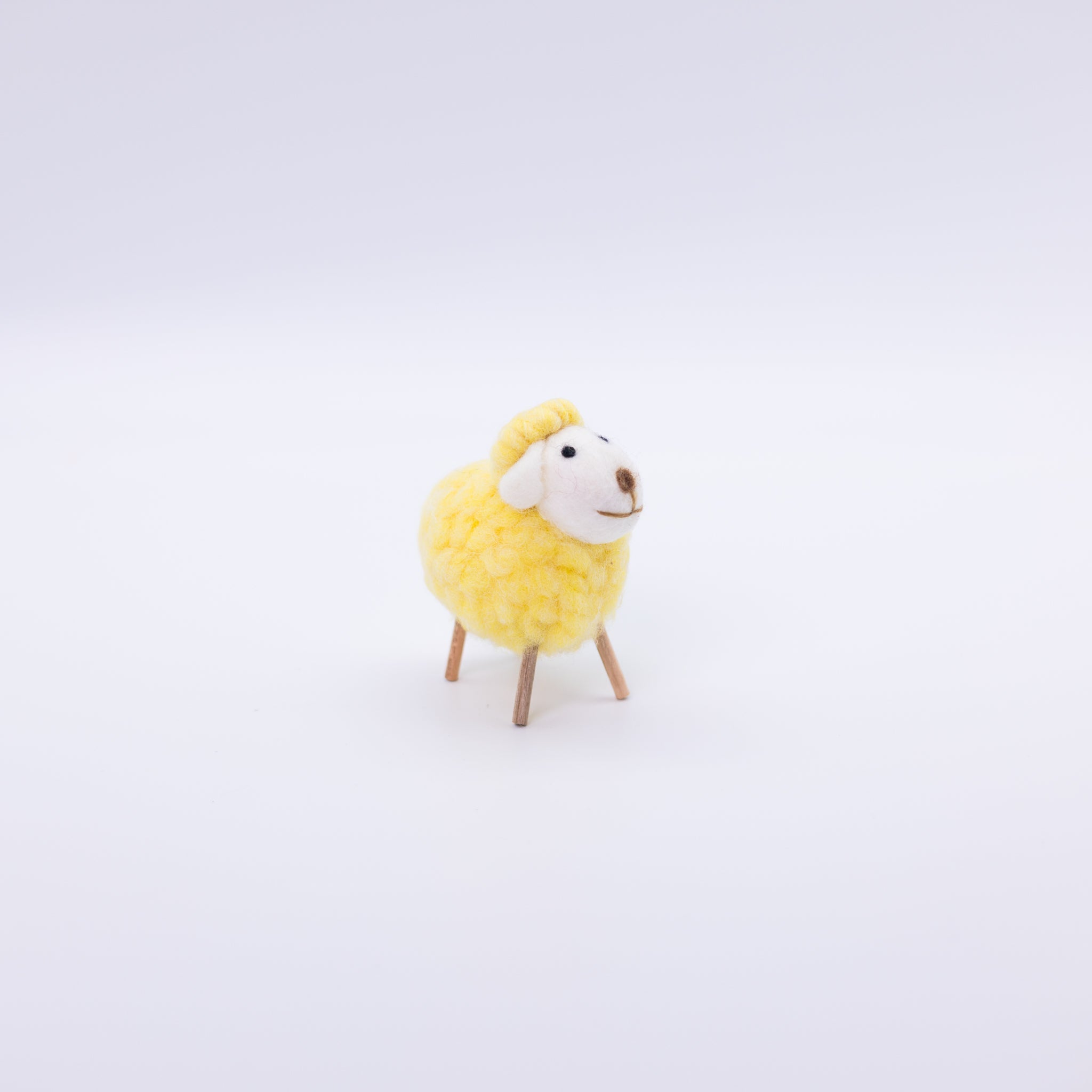 Cute Colorful Sheep