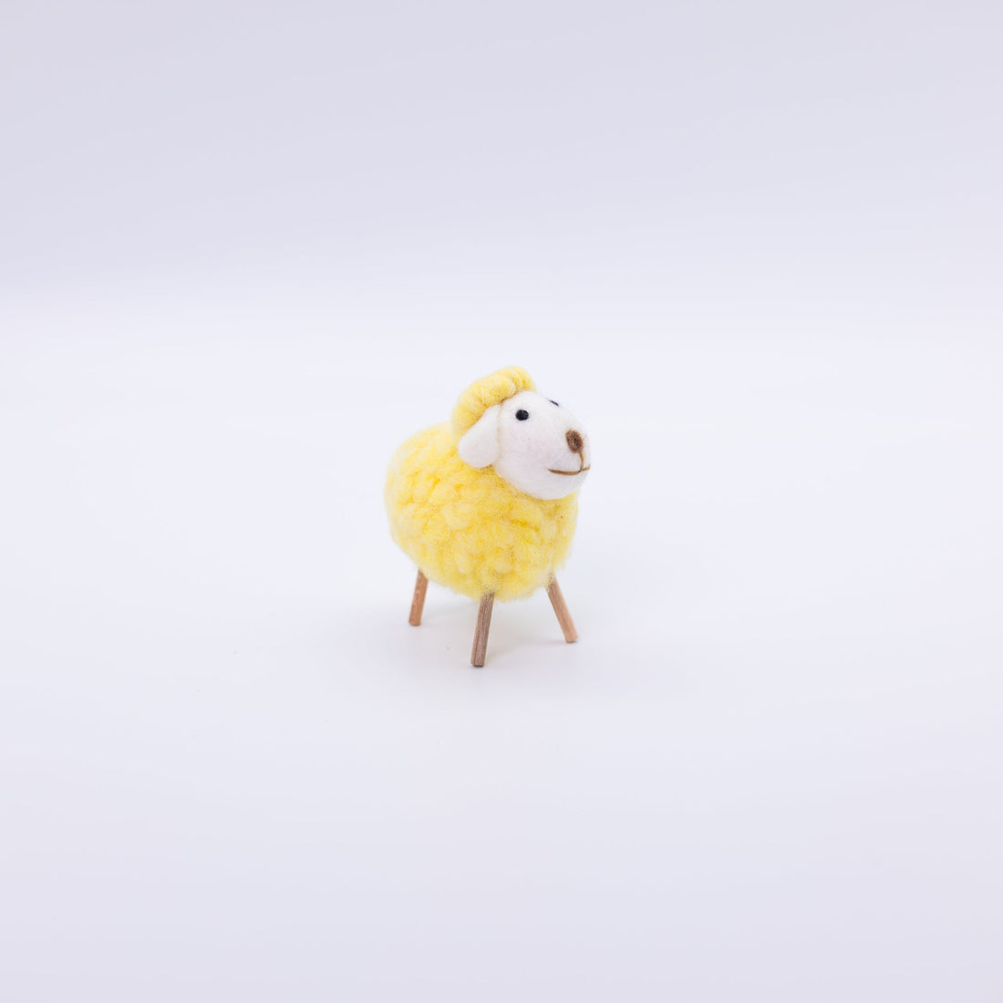 Cute Colorful Sheep