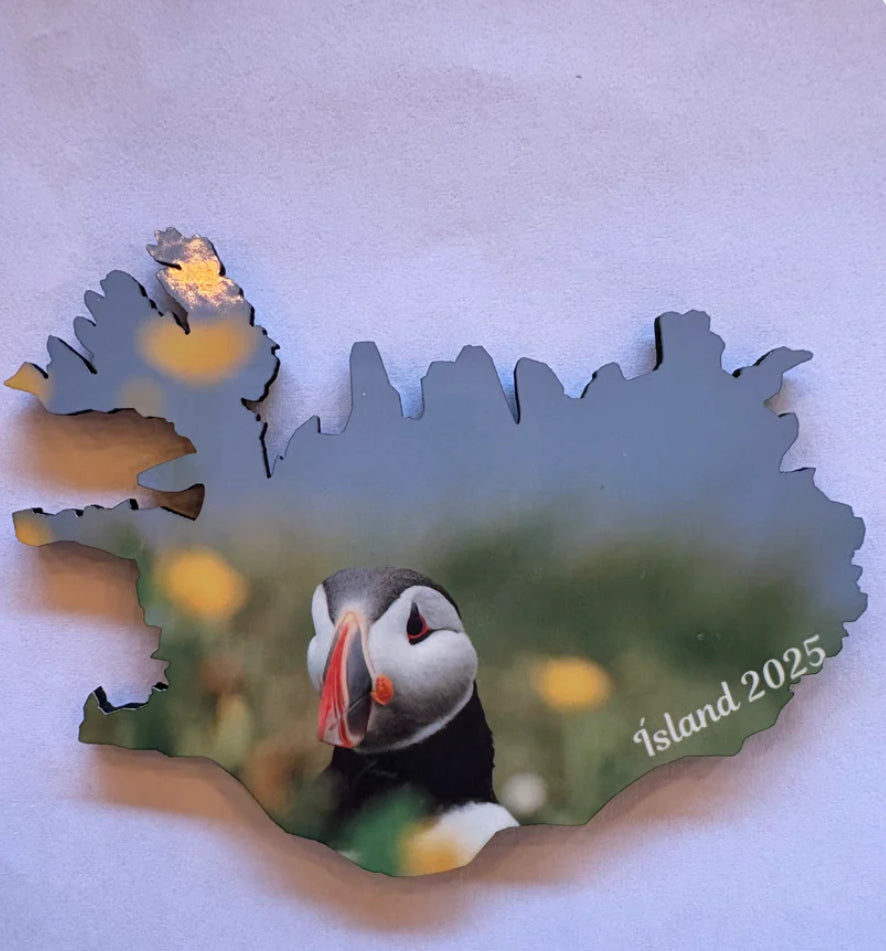 Magnet - Helgadóttir