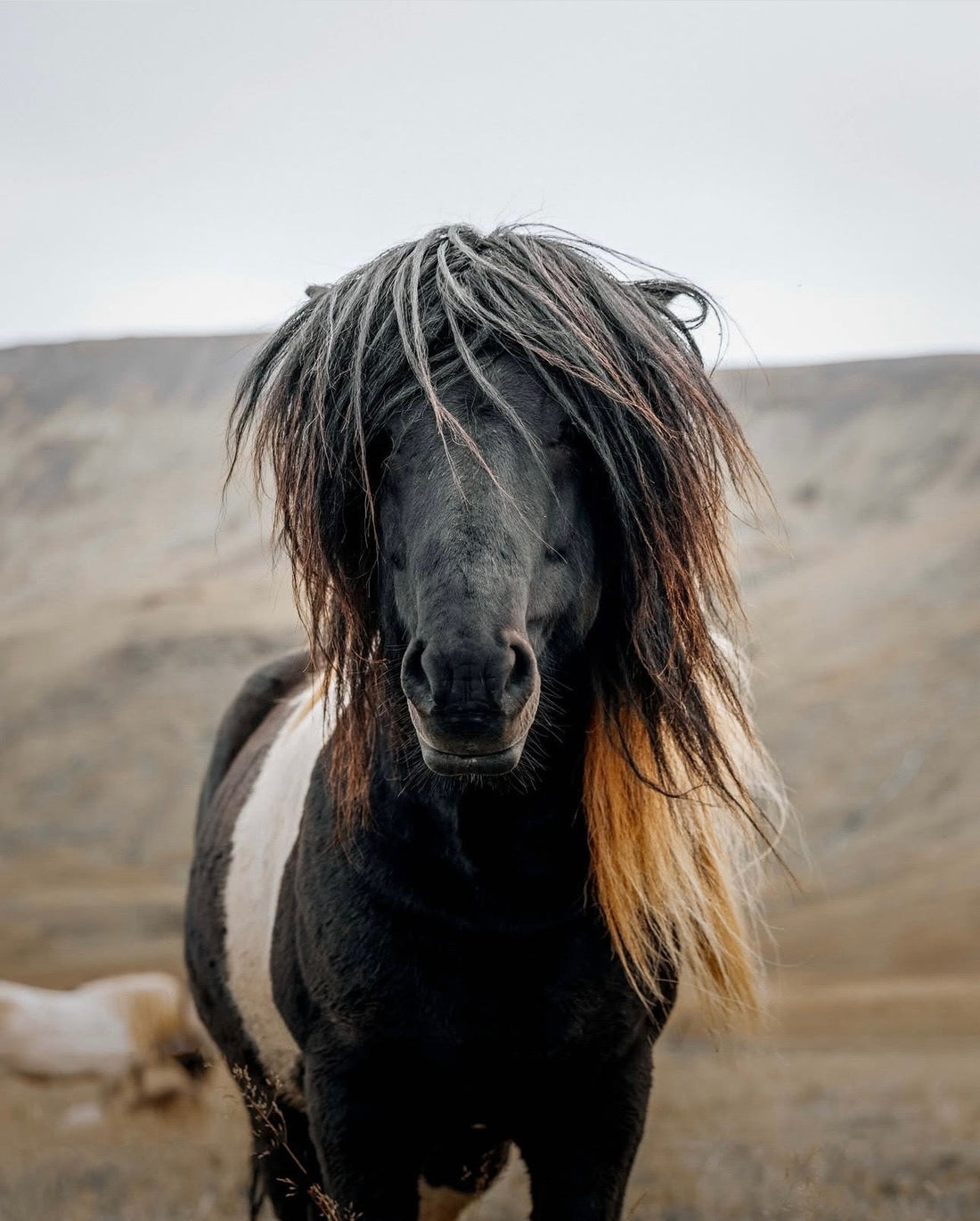 Postcard A5 - Gunnar Gunnarsson Photography