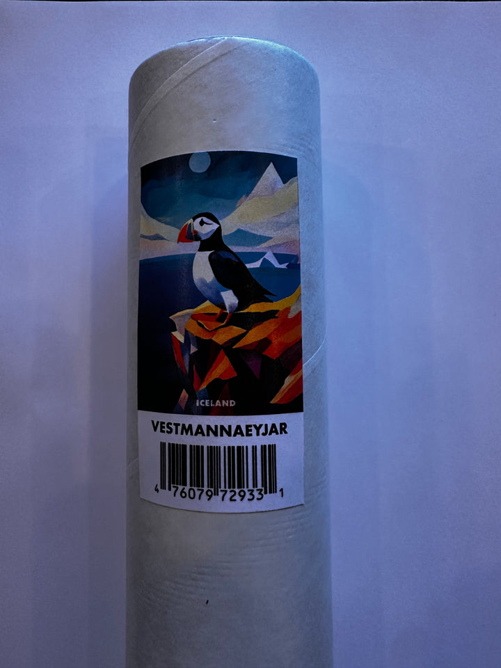 Poster Icelandic Animation - Jan Němeček Design