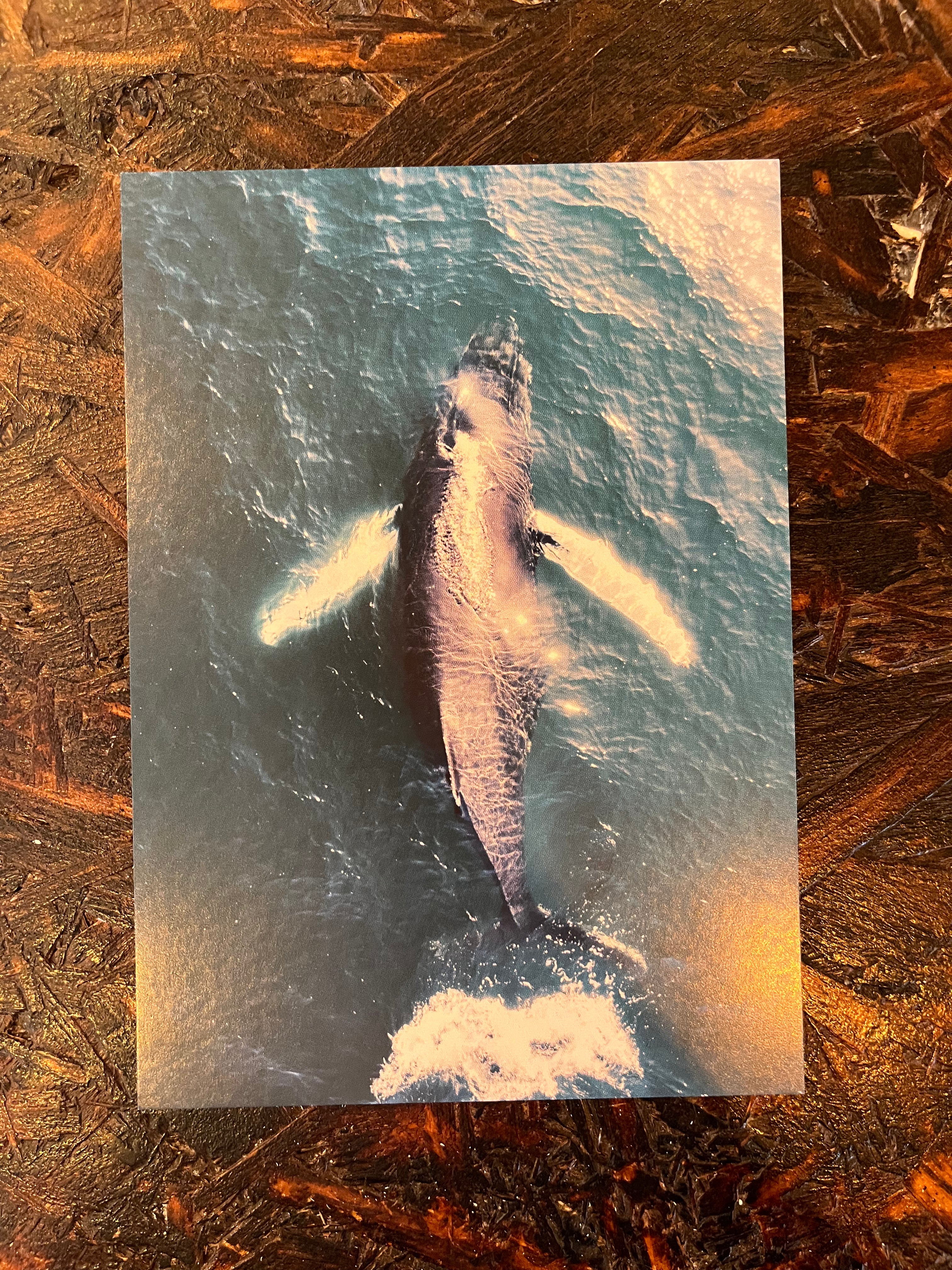 Postcard A6 - Gunnar Gunnarsson Photography