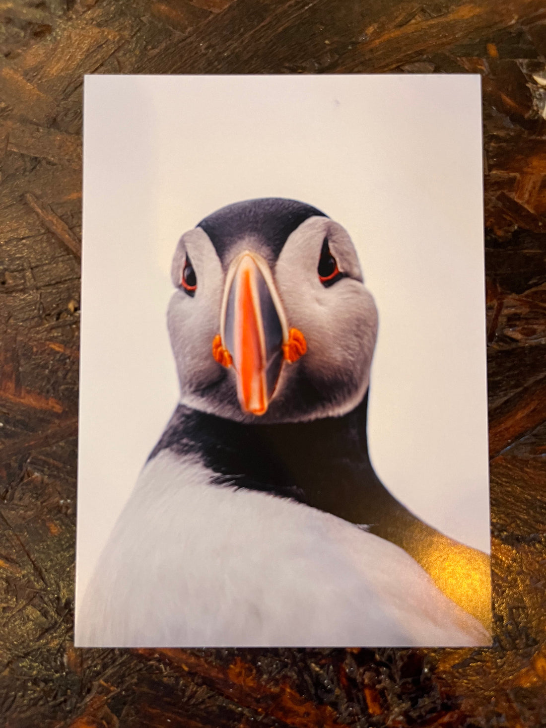 Postcard A6 - Gunnar Gunnarsson Photography