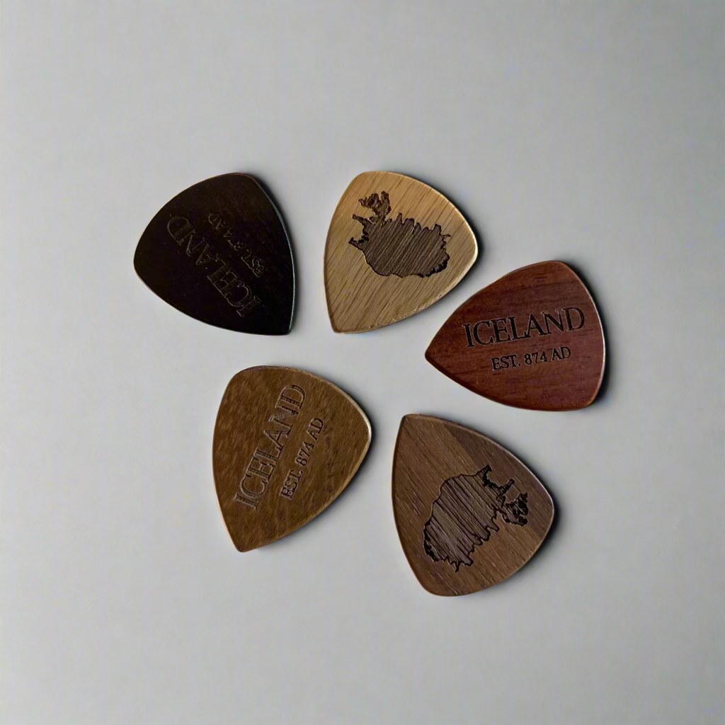 Guitar Pick - Remember Reykjavík