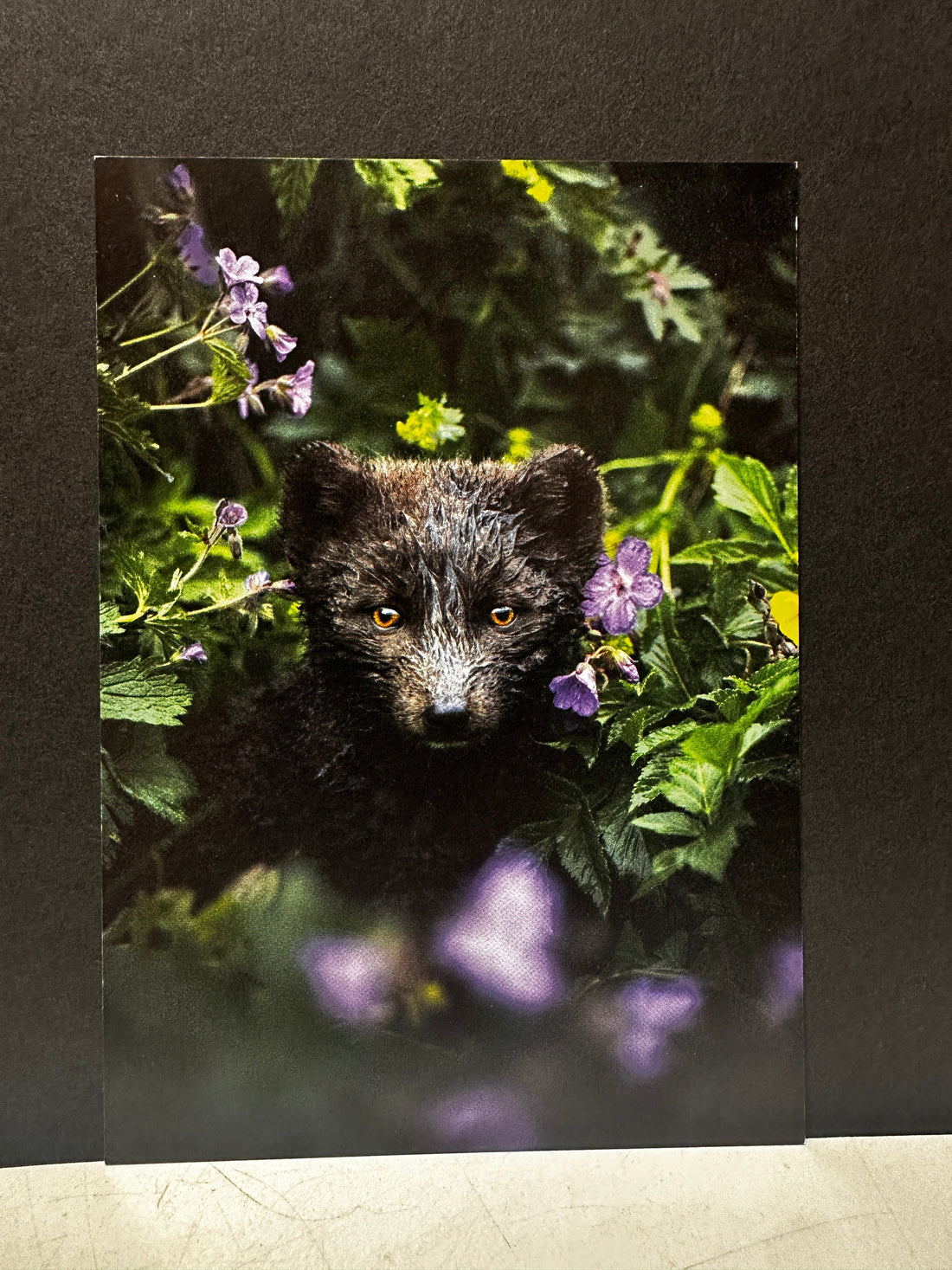 Postcard A6 - Gunnar Gunnarsson Photography