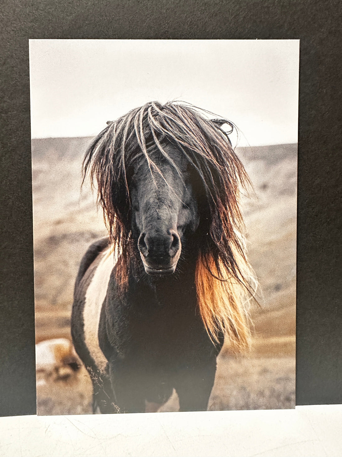 Postcard A6 - Gunnar Gunnarsson Photography