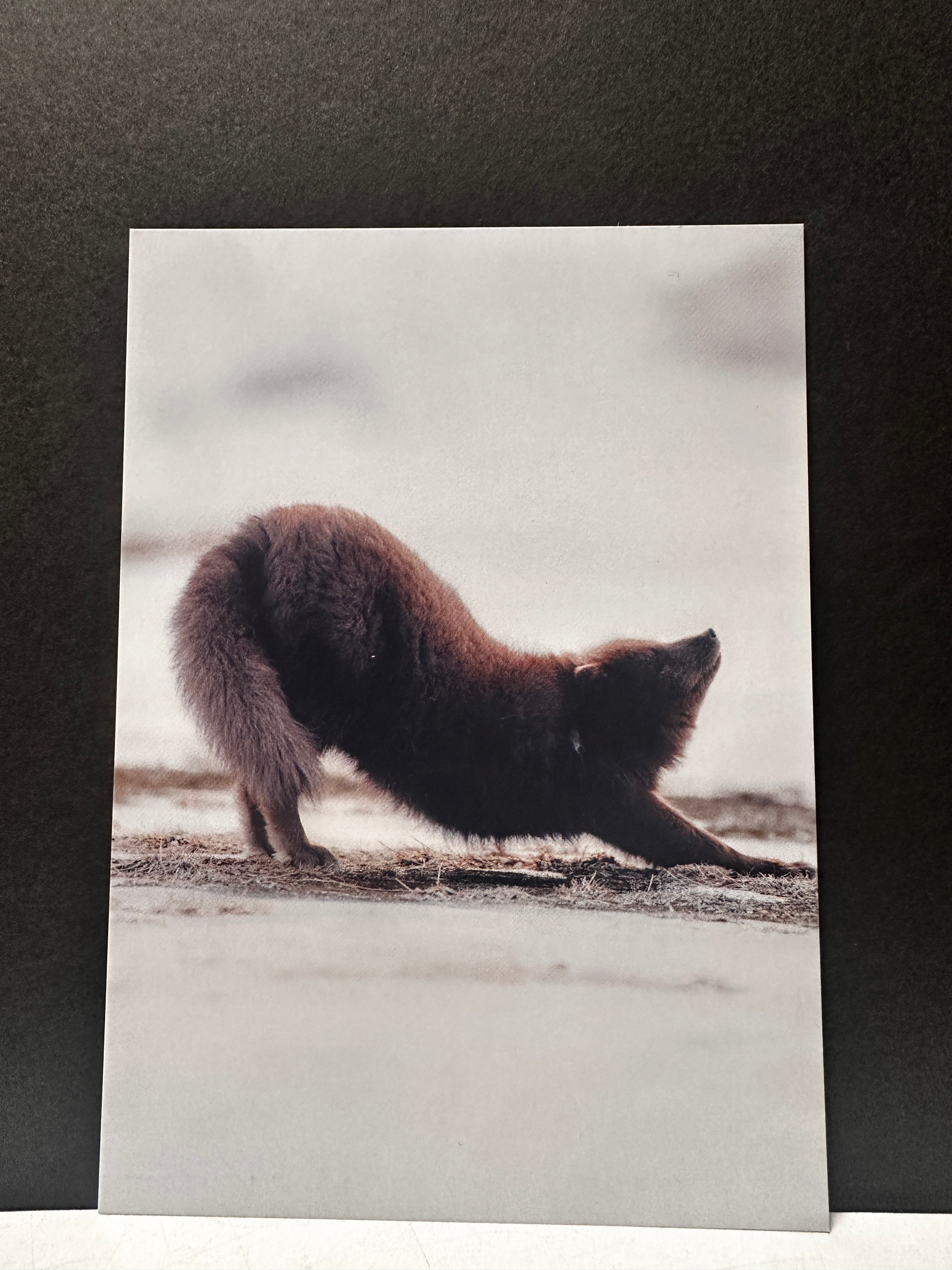 Postcard A6 - Gunnar Gunnarsson Photography