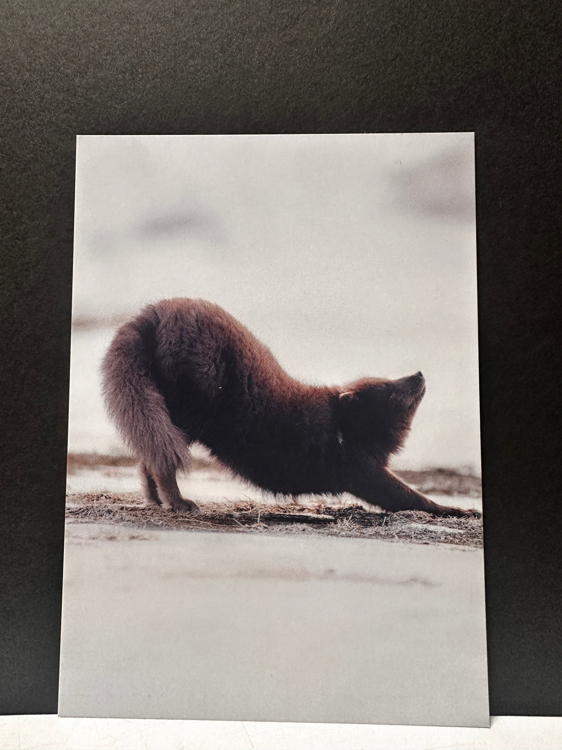 Postcard A6 - Gunnar Gunnarsson Photography