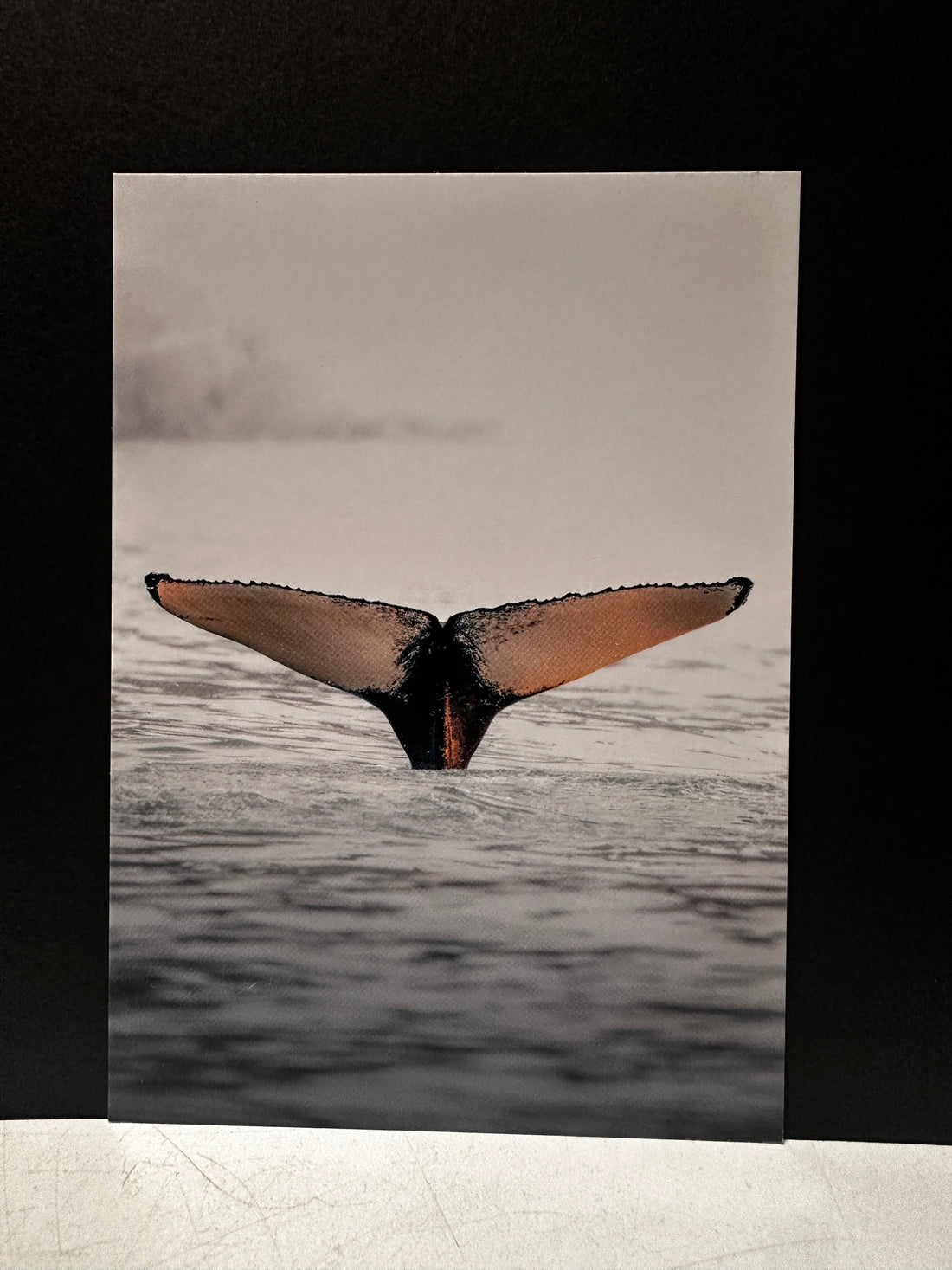 Postcard A6 - Gunnar Gunnarsson Photography