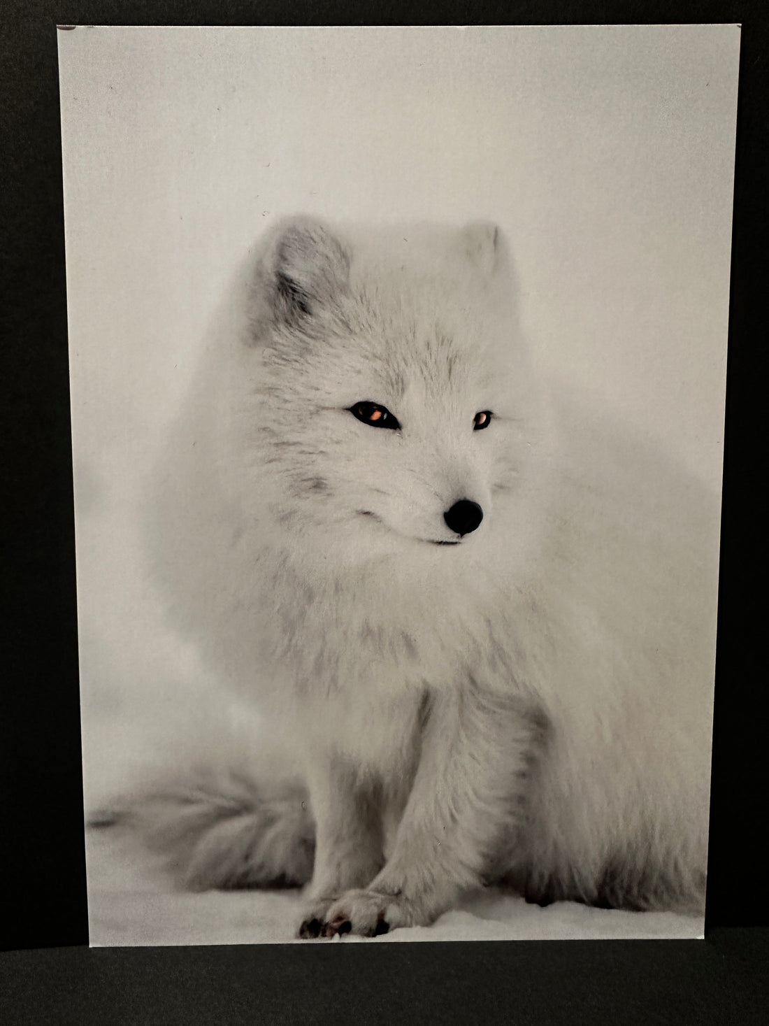 Postcard A5 - Gunnar Gunnarsson Photography