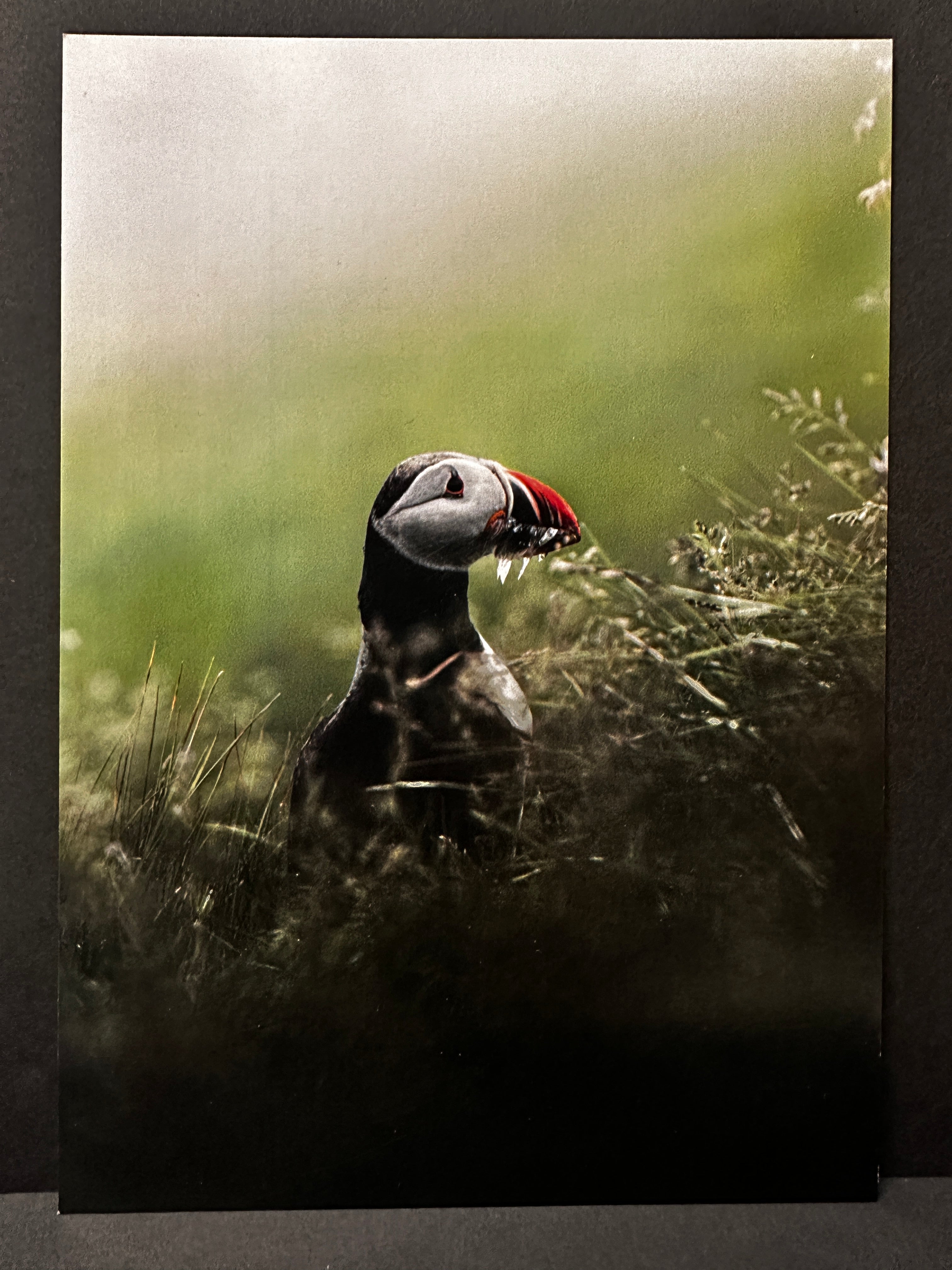 Postcard A5 - Gunnar Gunnarsson Photography