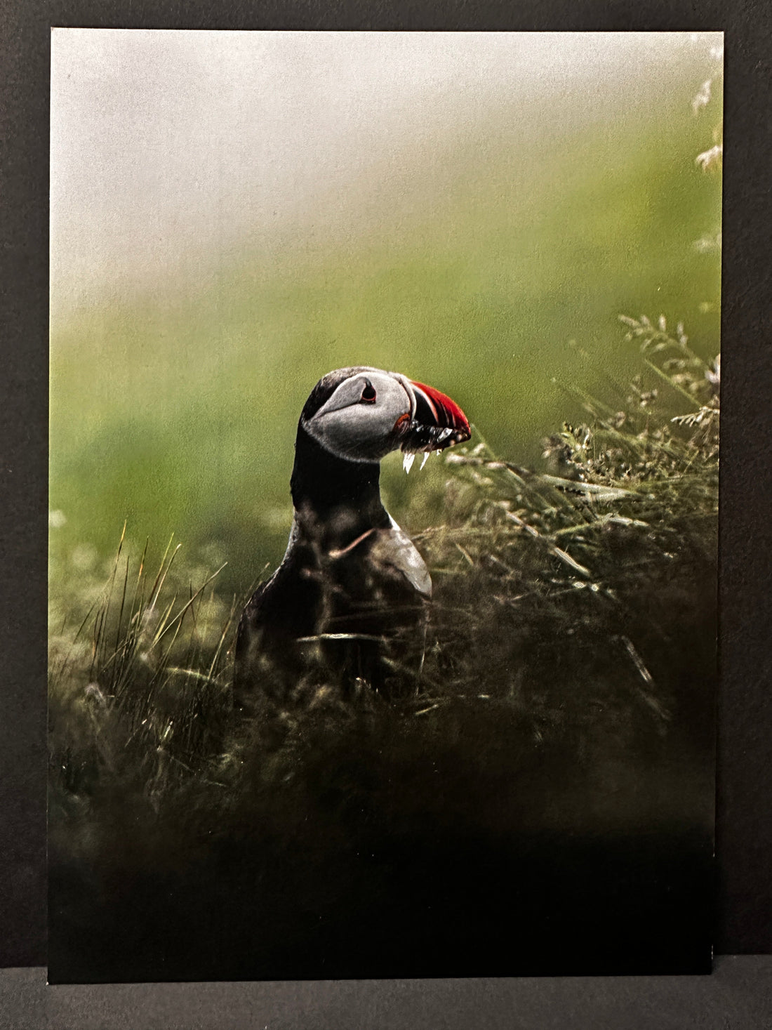 Postcard A5 - Gunnar Gunnarsson Photography