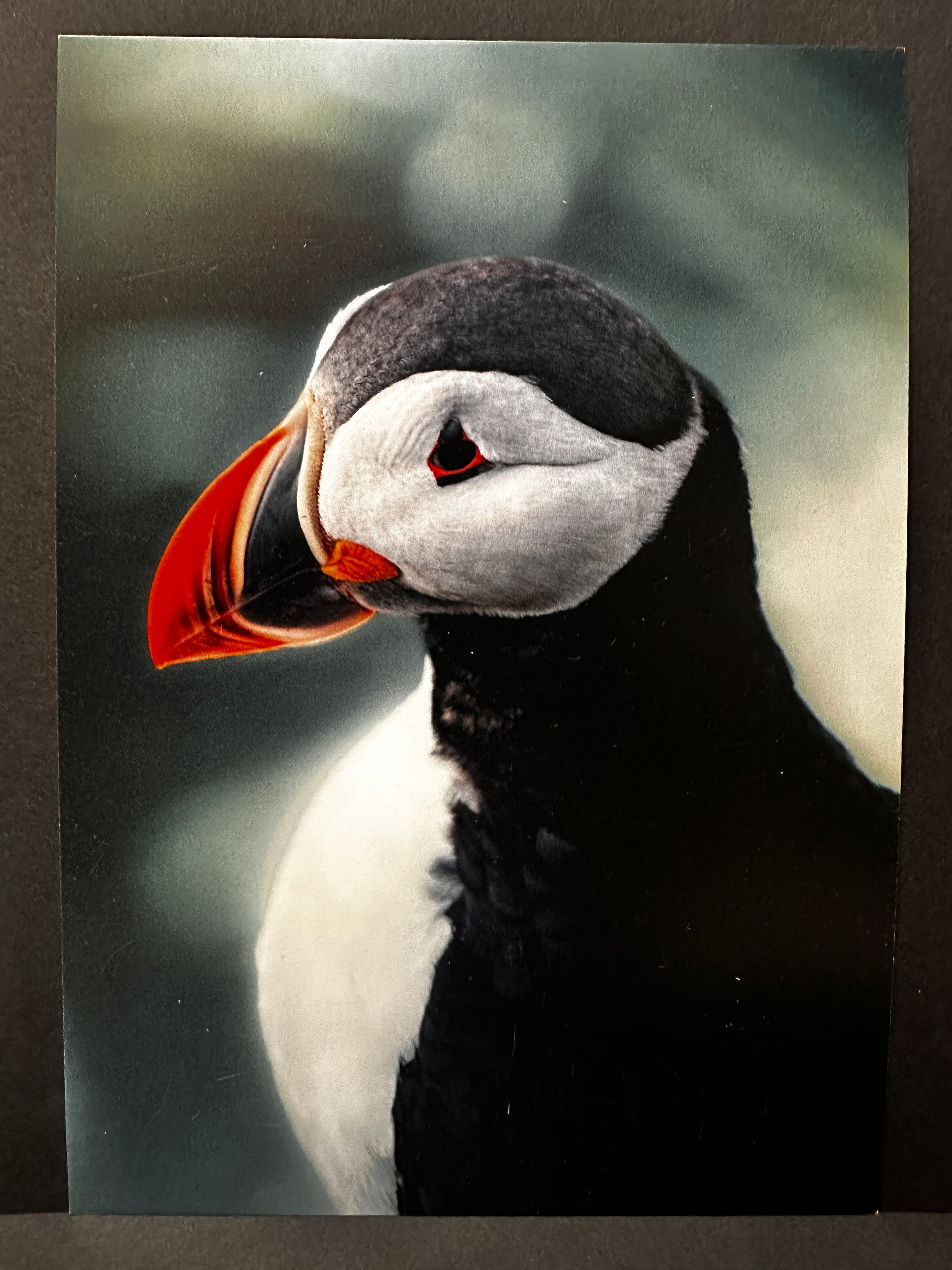 Postcard A5 - Gunnar Gunnarsson Photography