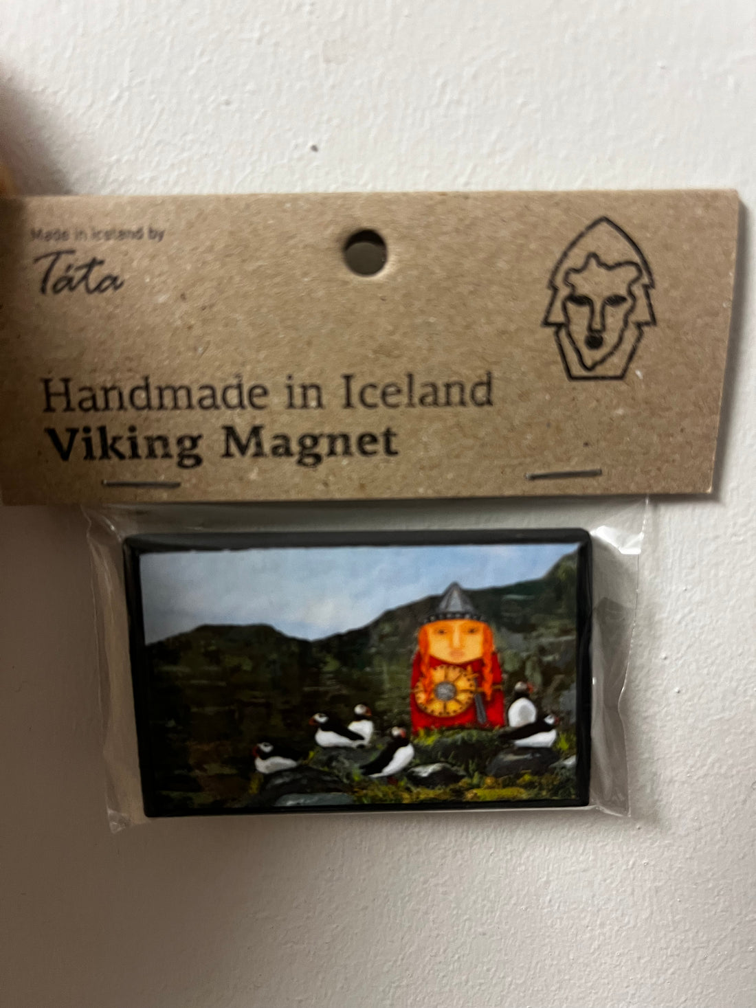 Táta Viking Magnet (Small)
