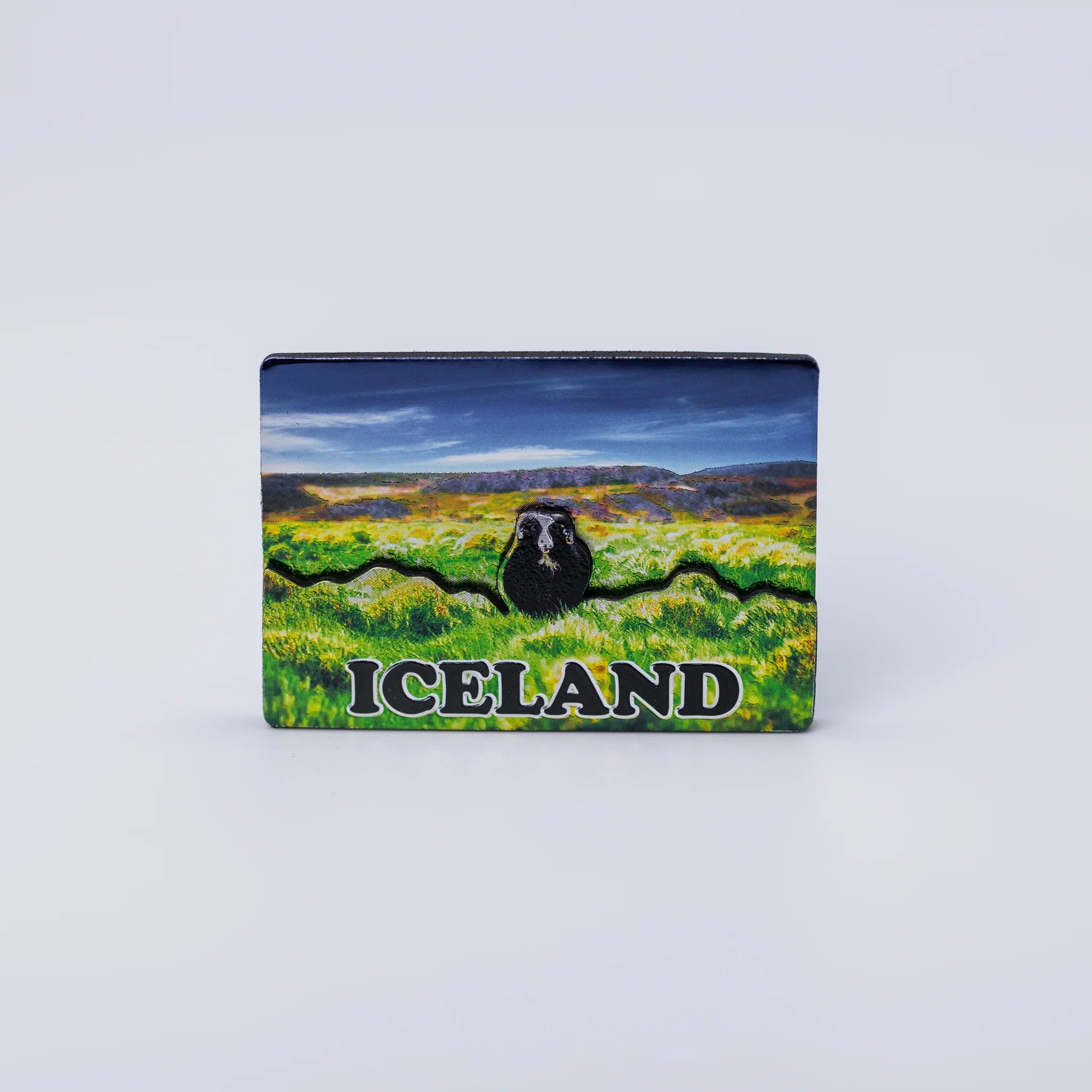 Magnet Shiny Pictures - Minjagripir.is