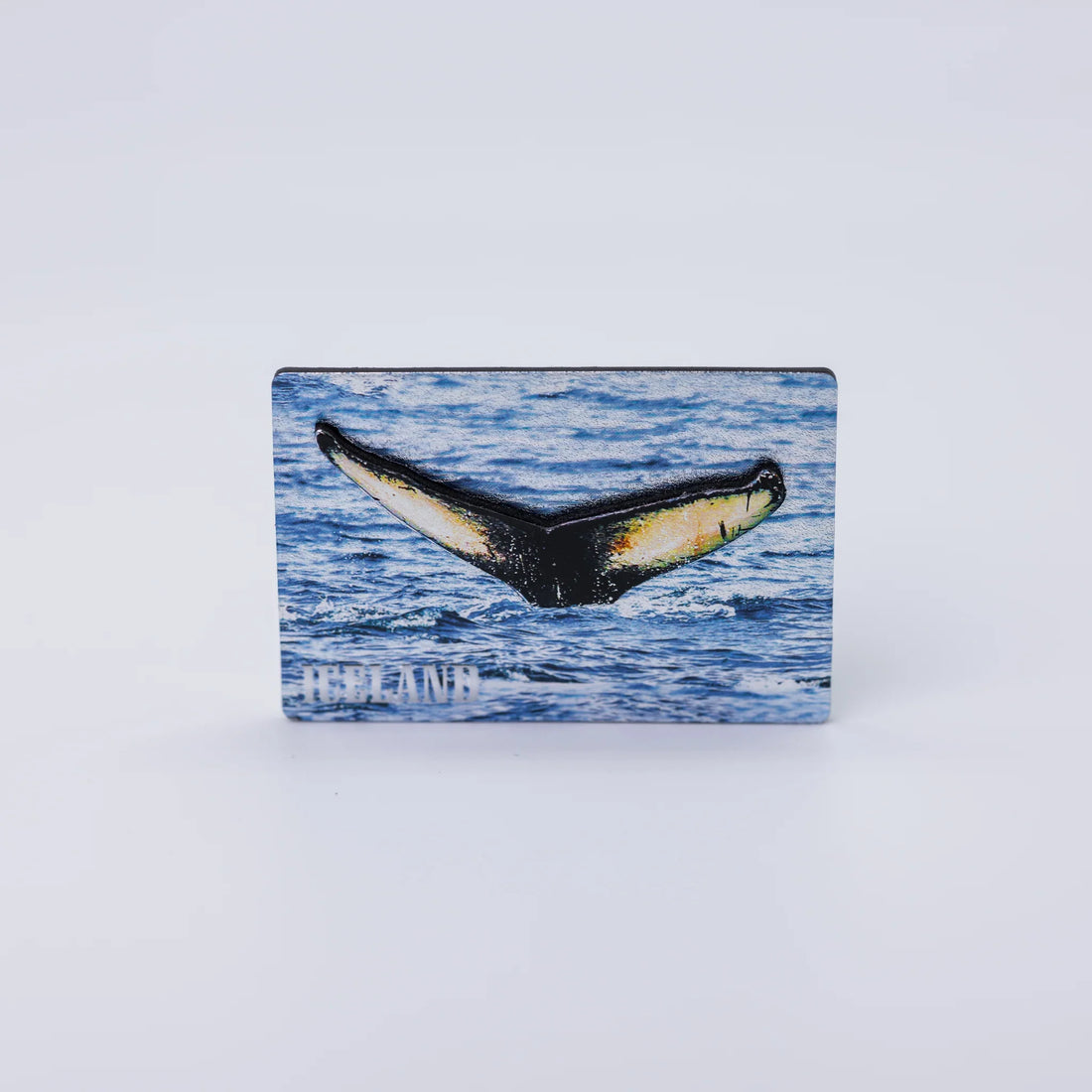 Magnet Shiny Pictures - Minjagripir.is